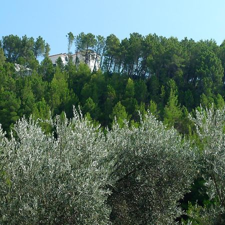 Apartments Maslina Sveti Stefan Exterior foto