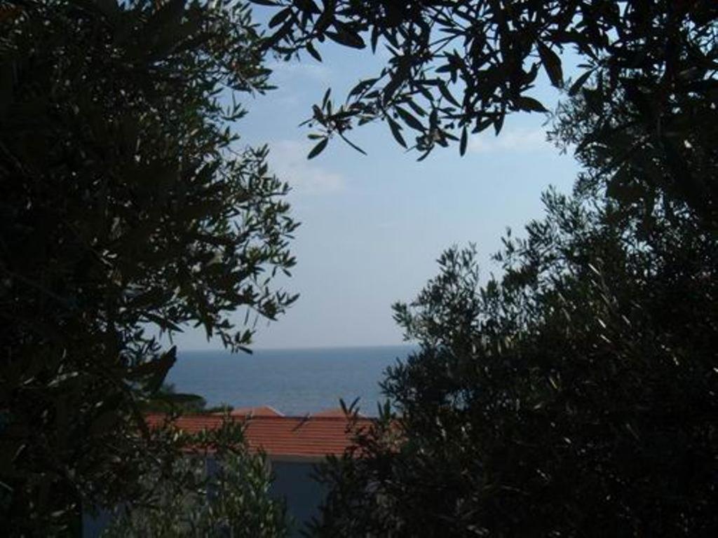 Apartments Maslina Sveti Stefan Exterior foto