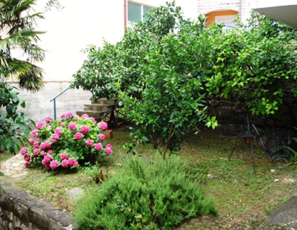 Apartments Maslina Sveti Stefan Exterior foto