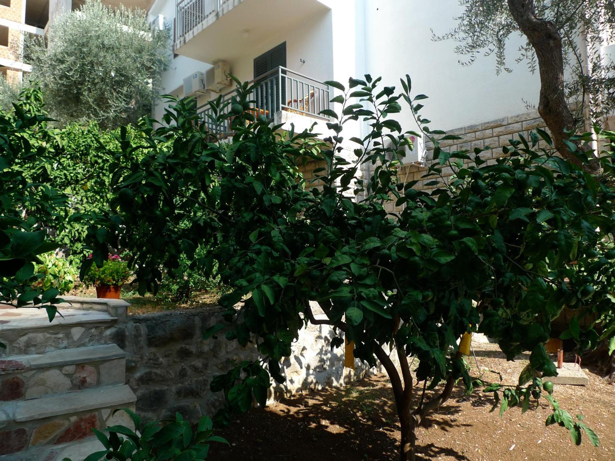 Apartments Maslina Sveti Stefan Exterior foto